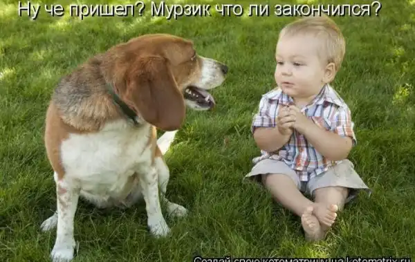 Котоматрицы