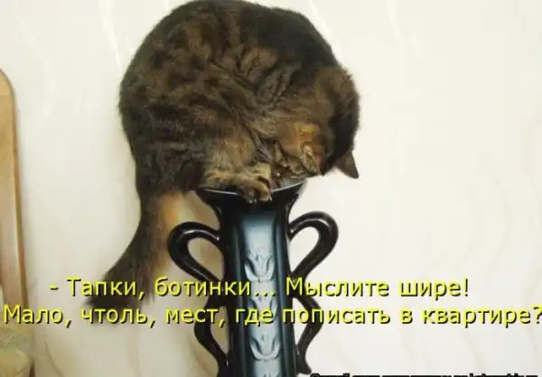 Котоматрицы