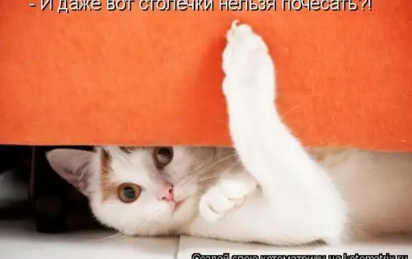 Котоматрицы