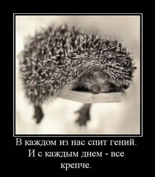 ДЕМОТИВАЦИЯ
