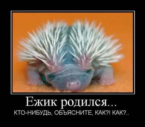 ДЕМОТИВАЦИЯ