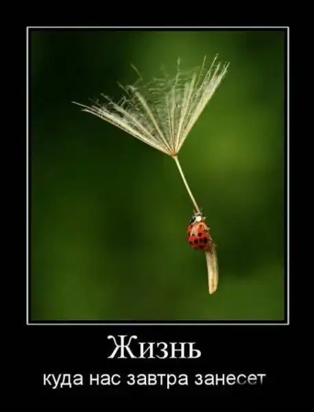 ДЕМОТИВАЦИЯ