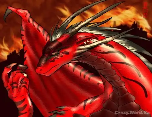 Red Dragons