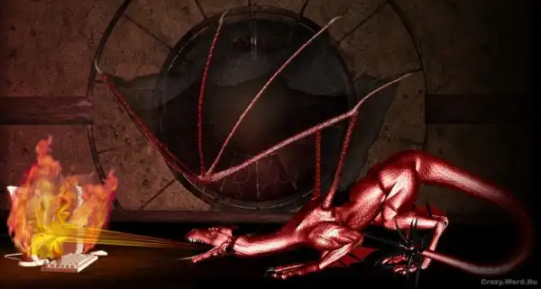 Red Dragons