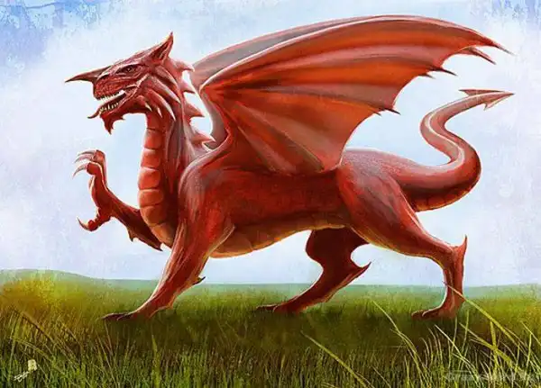 Red Dragons