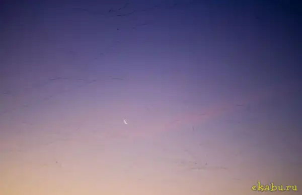 Миллион гусей