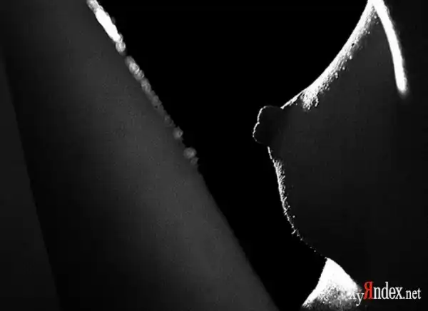 Black & white (32 фото)