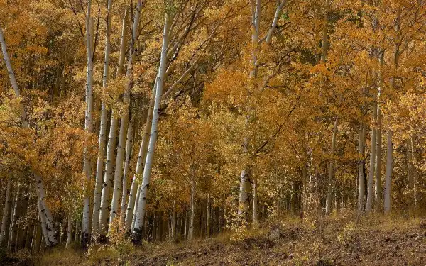 Фотоподборки