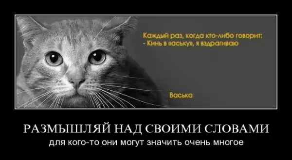 Демотиваторы