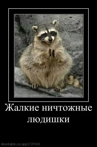 Демотиваторы