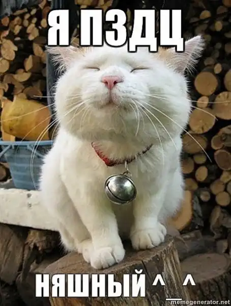 мемы + развеселые картинки