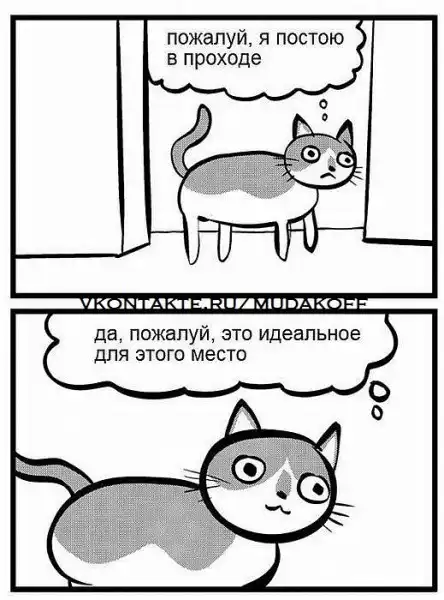 мемы + развеселые картинки