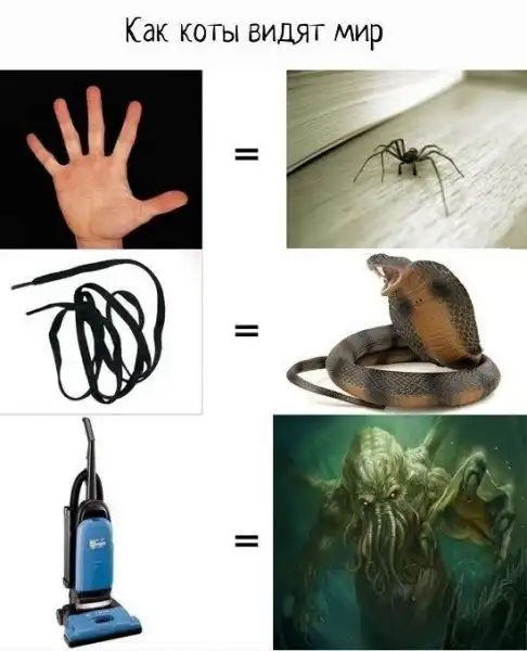 мемы + развеселые картинки