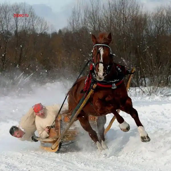 Фото в нужный момент