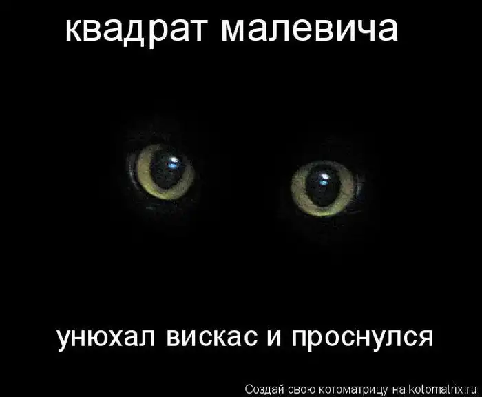 Лучшие котоматрицы недели Лучшие котоматрицы недели