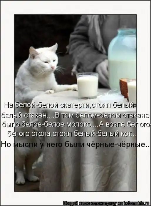 Лучшие котоматрицы недели Лучшие котоматрицы недели
