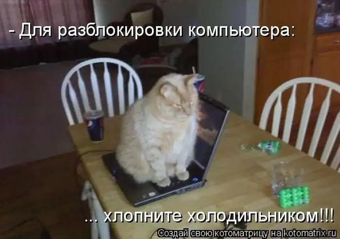 Лучшие котоматрицы недели Лучшие котоматрицы недели