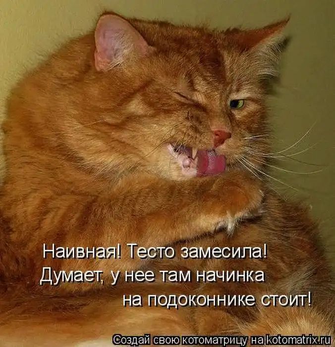 Лучшие котоматрицы недели Лучшие котоматрицы недели