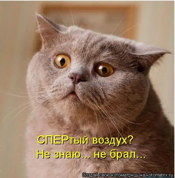 Лучшие котоматрицы недели Лучшие котоматрицы недели