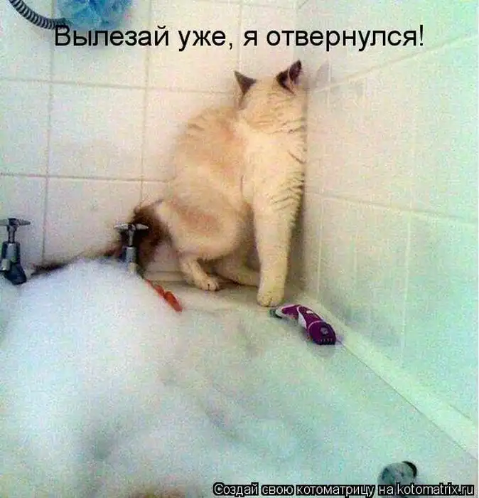 Лучшие котоматрицы недели Лучшие котоматрицы недели