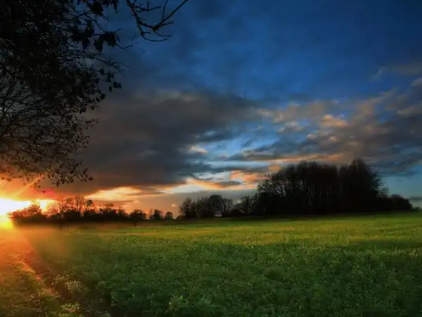 High Definition Wallpapers