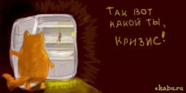 Приключения кота