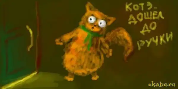 Приключения кота