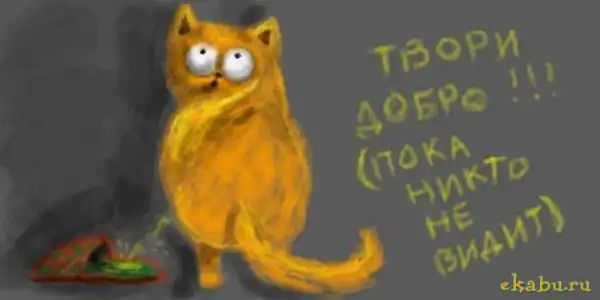 Приключения кота