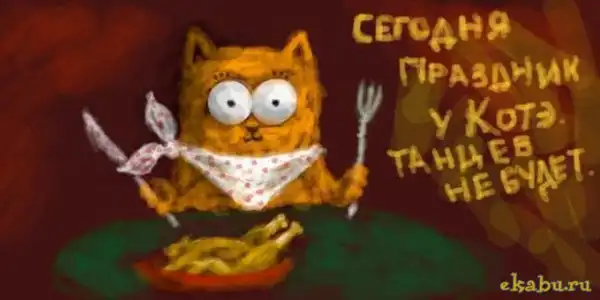 Приключения кота