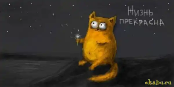 Приключения кота
