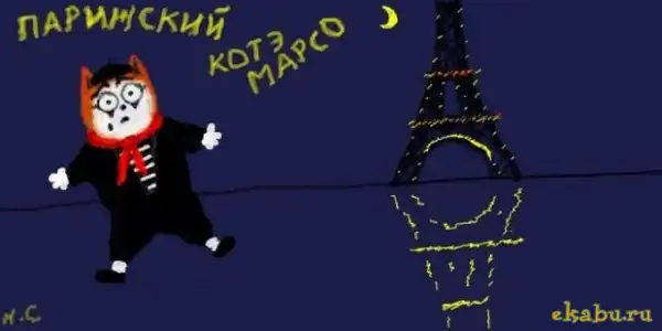 Приключения кота