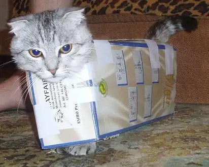 Прикольчики.