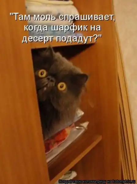 Прикольчики.