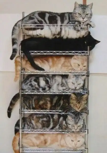 Прикольчики.