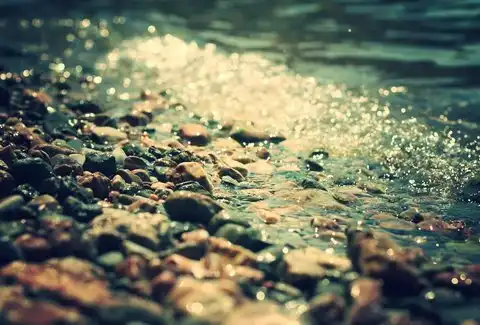 Sea...