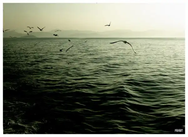 Sea...