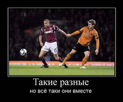 Немного демотиваторов...