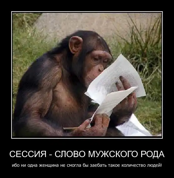 Демотиваторы про это (часть 7)