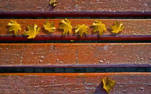 Wall-paper # 34