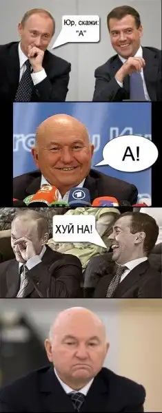 Весёлые фото...