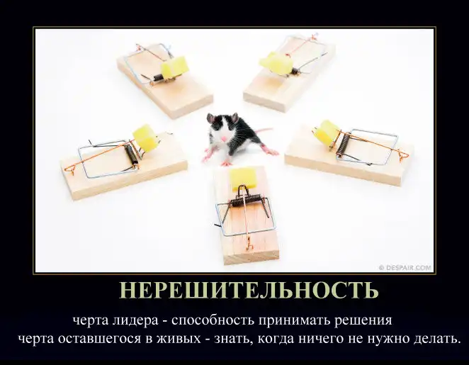 Демотиваторы Демотиваторы