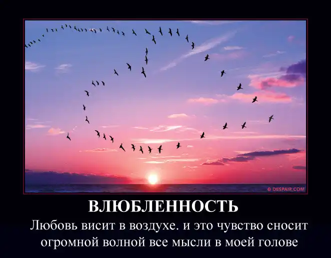 Демотиваторы Демотиваторы