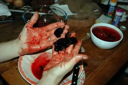 а на ужин у нас... плацента!!!