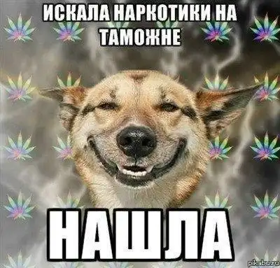 Подборка разных приколов