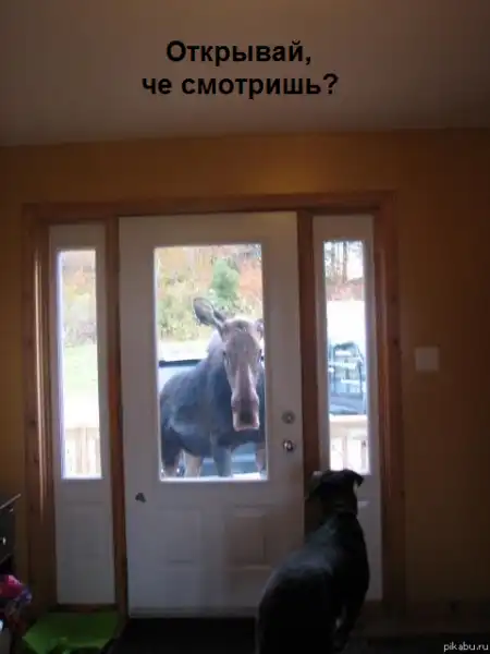 Подборка разных приколов