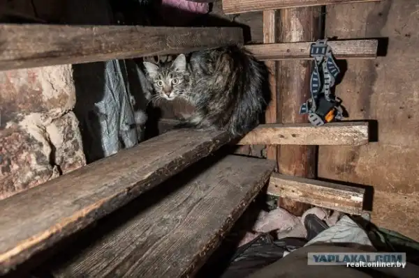 Белорусские отшельники.