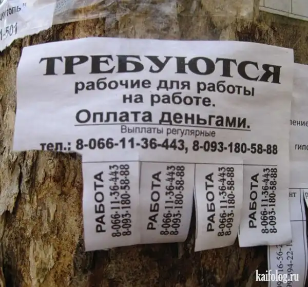 Подборка разных приколов