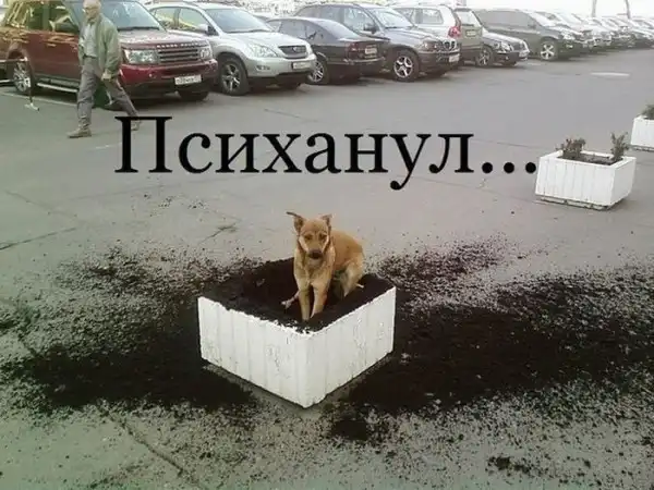 Прикольные картинки абавсём (12.11.12)