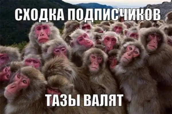 Прикольные картинки абавсём (12.11.12)