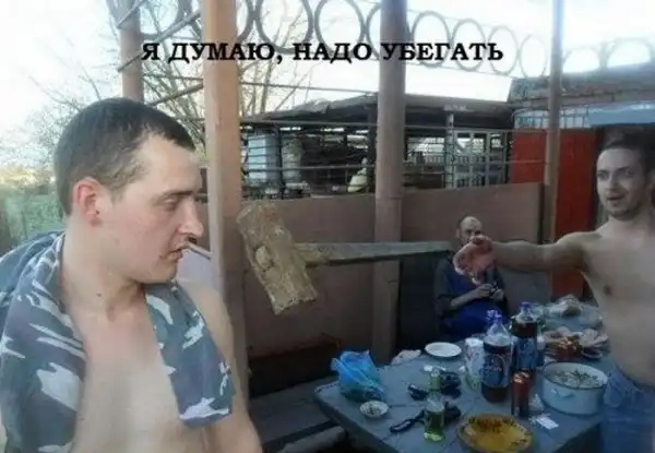 Смешные фотографии в стиле: "Я думаю, надо убегать!"